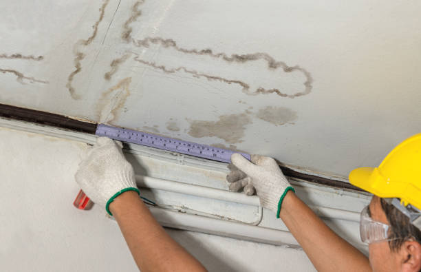 Reliable Basement Water Removal contractor in Vanderpool, TX by Water Damage Irwin